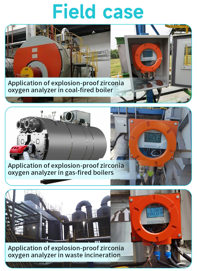 Explosion-proof Zirconia Oxygen Analyzer2